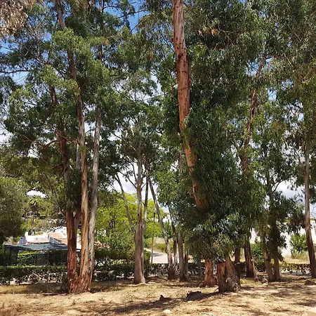 Balaia Gardens, Jardins Da Balaia 招待所 阿尔布费拉