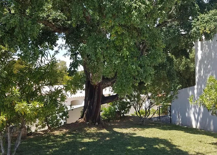 招待所 Balaia Gardens, Jardins Da Balaia 3*