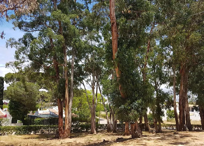 Balaia Gardens, Jardins Da Balaia 招待所 阿尔布费拉