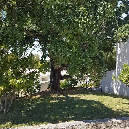 ゲストハウス Balaia Gardens, Jardins Da Balaia 3*